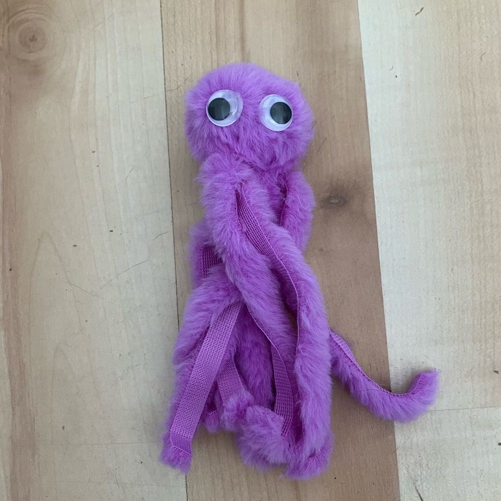 Gently Used Cat Toy